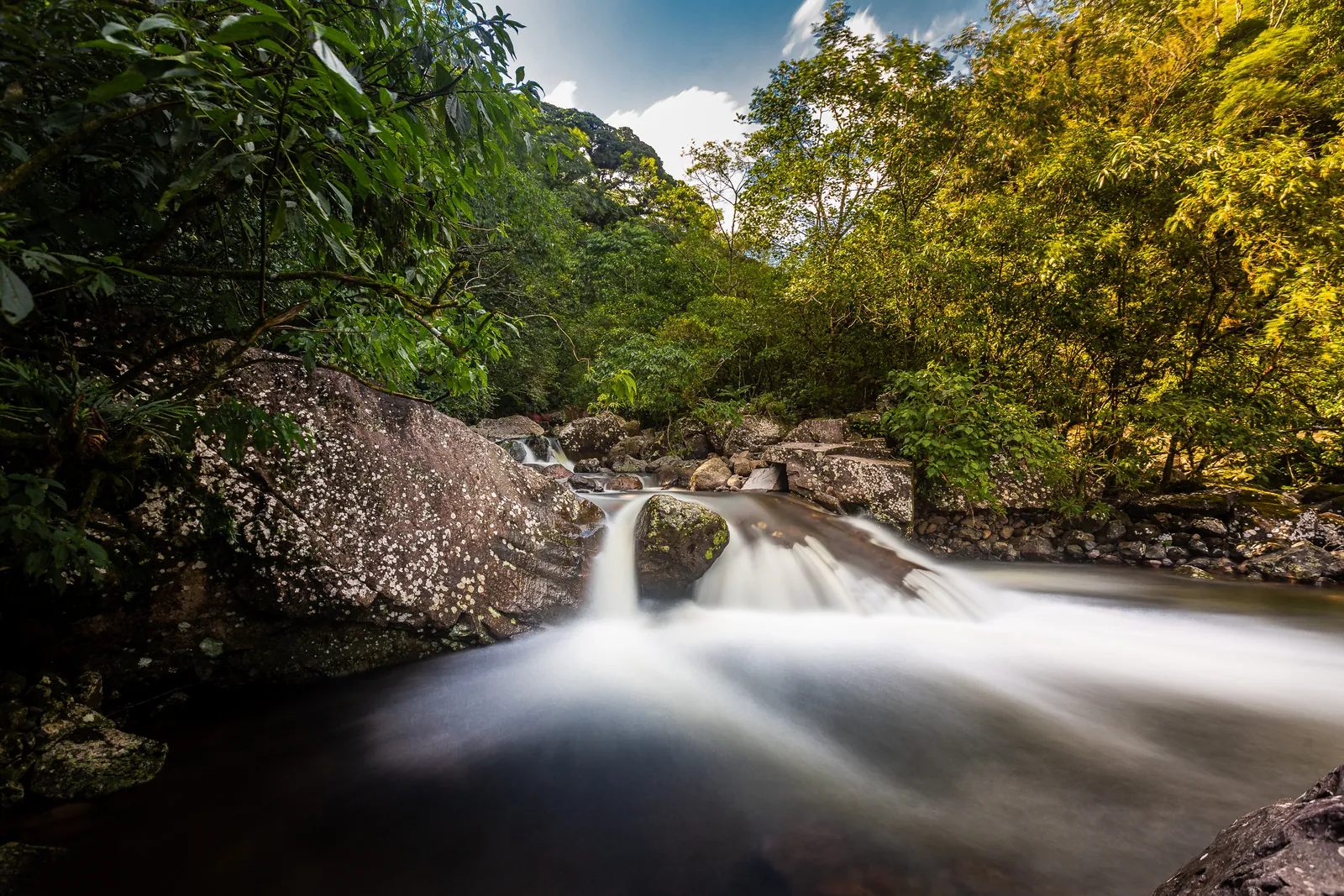 Cachoeira na mata em longa exposição