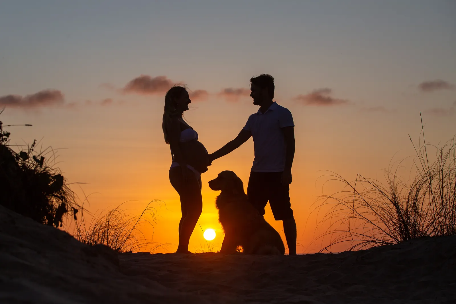 Silhueta de casal gestante com cachorro ao pôr do sol